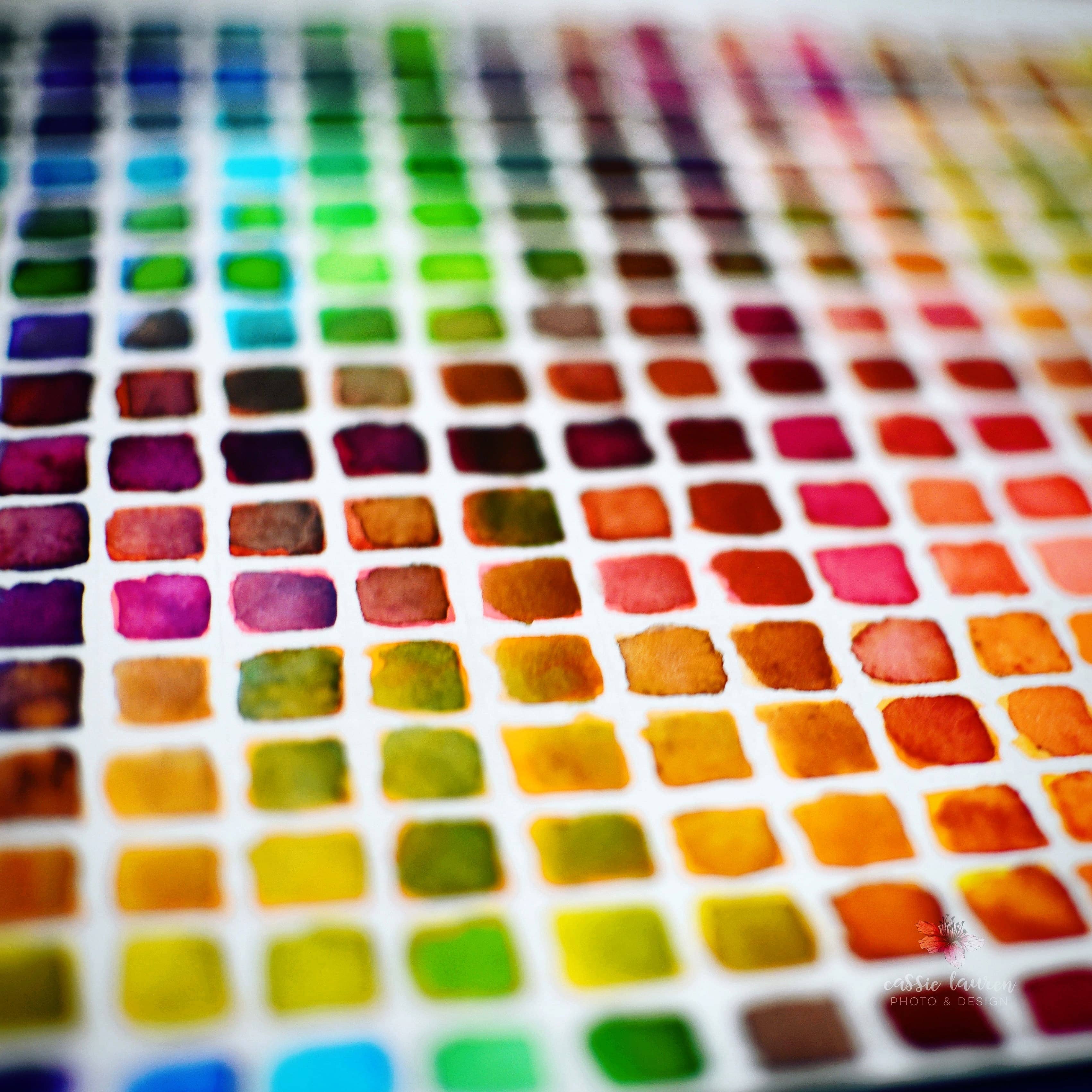 Nicholson's Peerless Watercolors Color Swatch & Derwent Inktense Blocks  Color Swatch