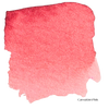 Carnation Pink