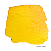 Daffodil Yellow