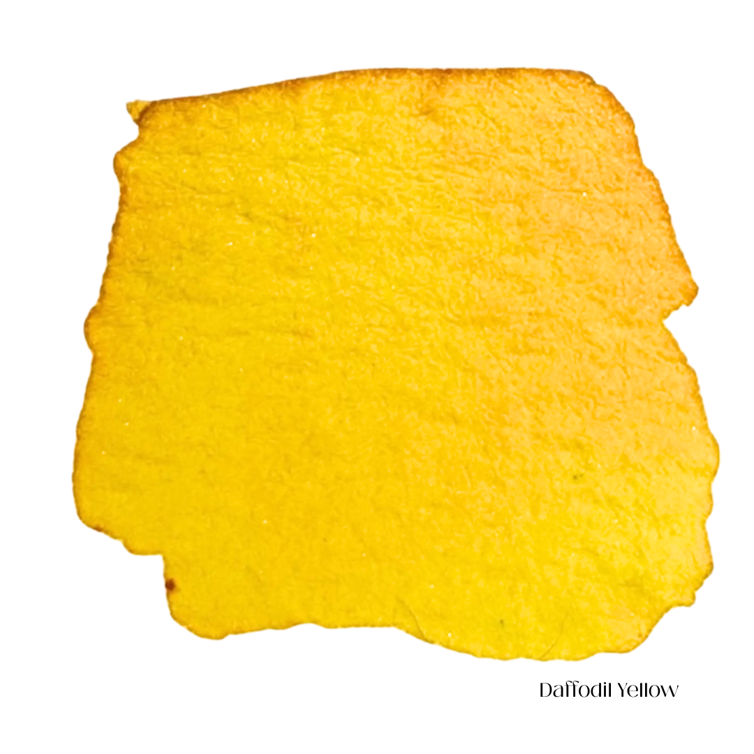 Daffodil Yellow