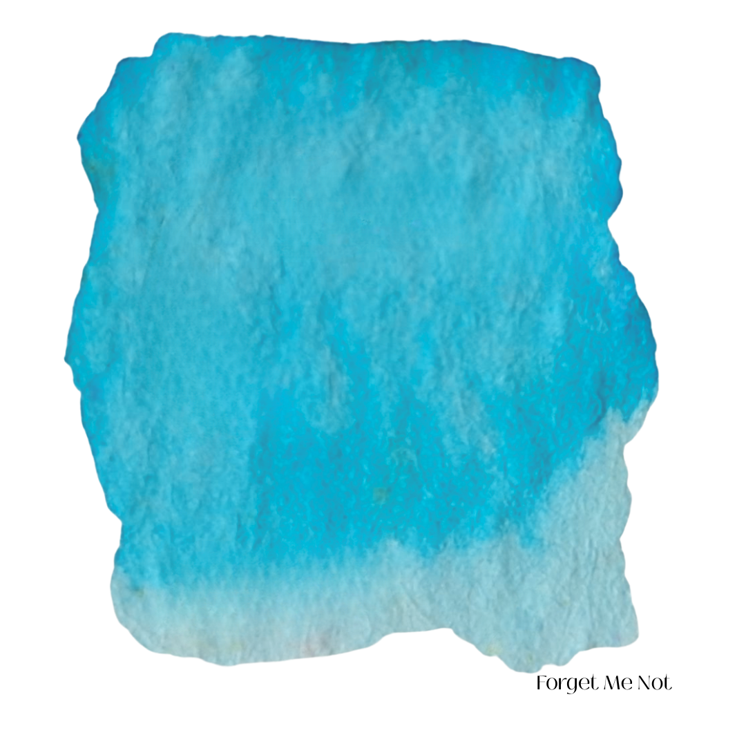 Forget Me Not Blue