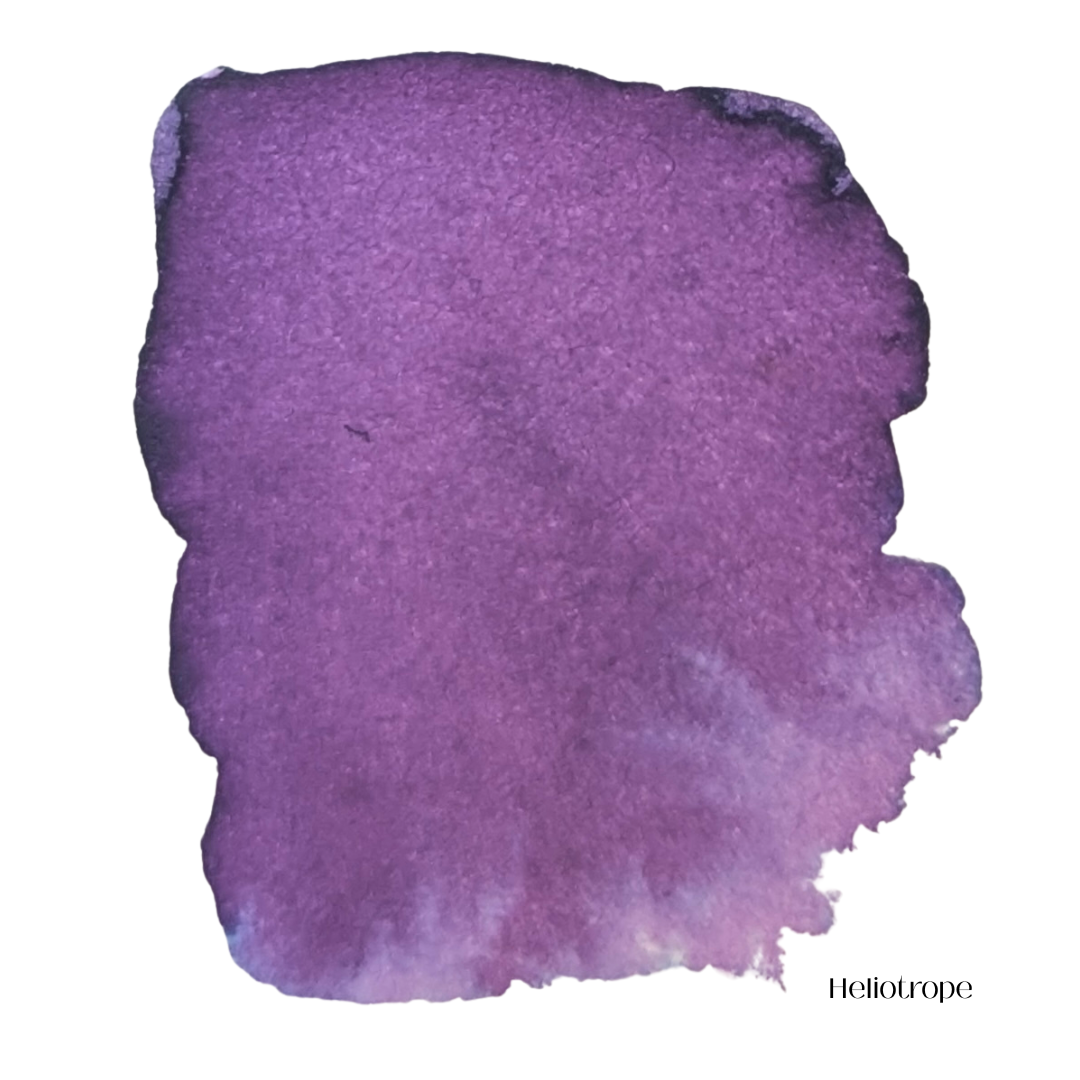 Heliotrope