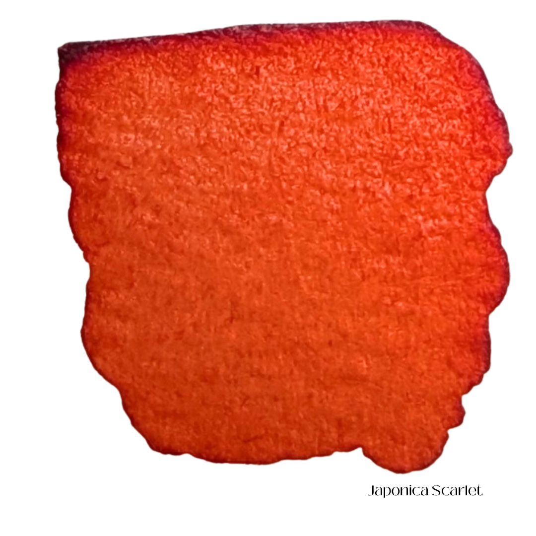 Japonica Scarlet