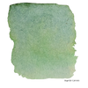Myrtle Green