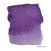 Wisteria Violet