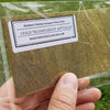 Peerless Watercolor - Individual DryColor Sheet - Gold Metallic